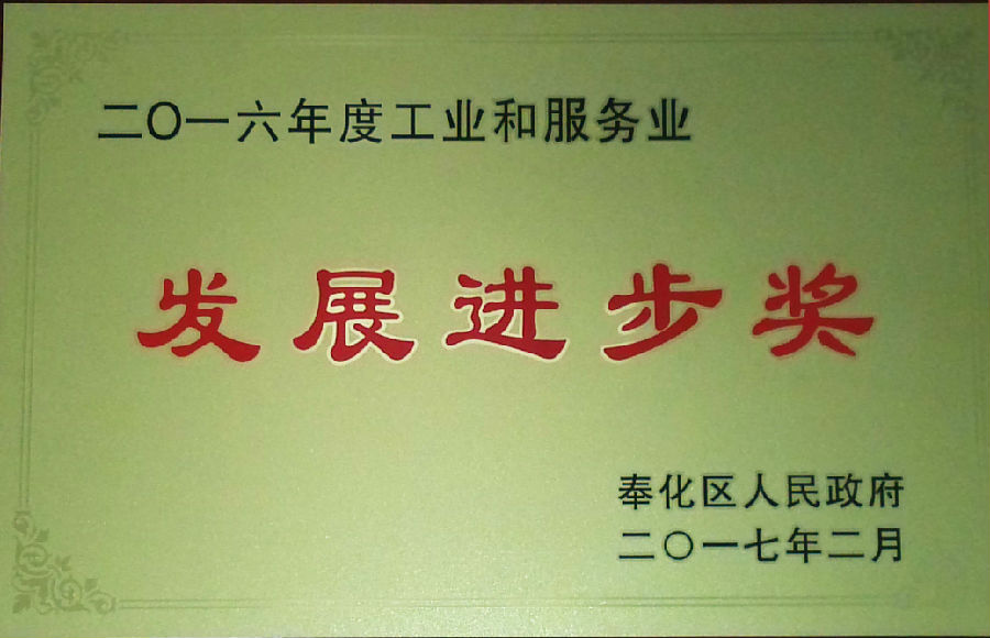 2016年度發(fā)展進(jìn)步獎.jpg